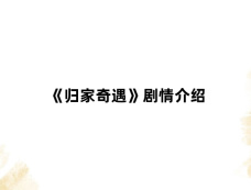 《归家奇遇》剧情介绍