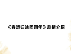《春运归途团圆年》剧情介绍
