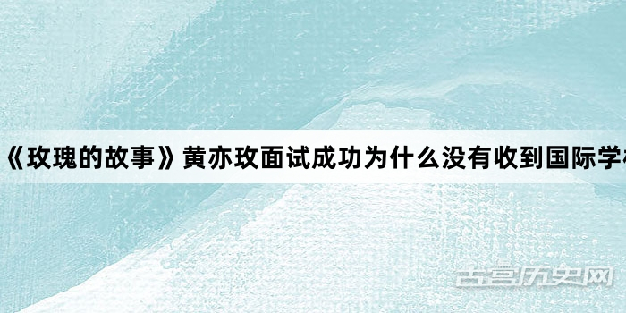 《玫瑰的故事》黄亦玫面试成功为什么没有收到国际学校的录取通知