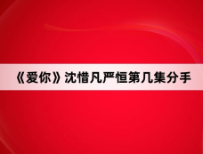 《爱你》沈惜凡严恒第几集分手