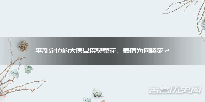 平乱定边的大唐女将樊梨花，最后为何惨死？