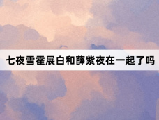 七夜雪霍展白和薛紫夜在一起了吗