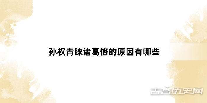 孙权青睐诸葛恪的原因有哪些