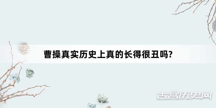 曹操真实历史上真的长得很丑吗?