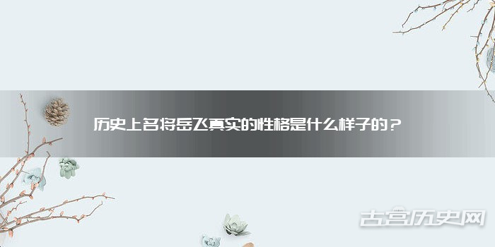 历史上名将岳飞真实的性格是什么样子的？