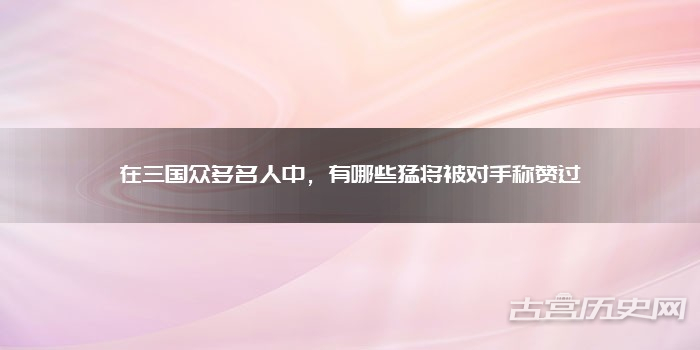 在三国众多名人中，有哪些猛将被对手称赞过