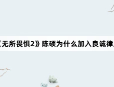 《无所畏惧2》陈硕为什么加入良诚律所