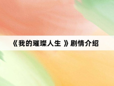 《我的璀璨人生 》剧情介绍