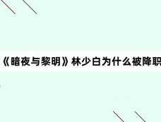 《暗夜与黎明》林少白为什么被降职