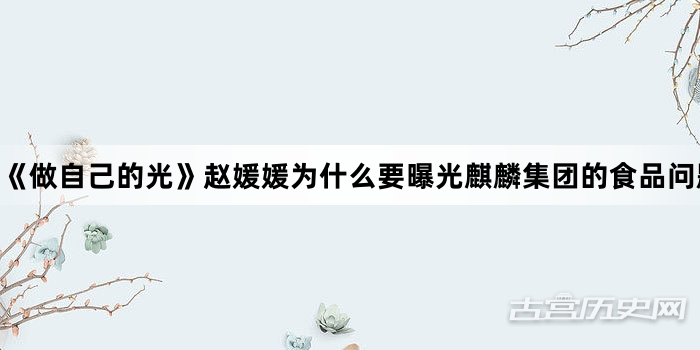《做自己的光》赵媛媛为什么要曝光麒麟集团的食品问题