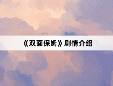 《双面保姆》剧情介绍
