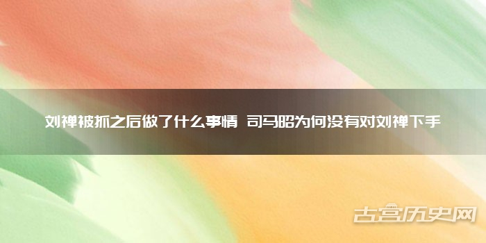 刘禅被抓之后做了什么事情 司马昭为何没有对刘禅下手
