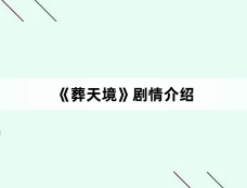 《葬天境》剧情介绍