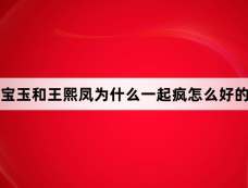宝玉和王熙凤为什么一起疯怎么好的