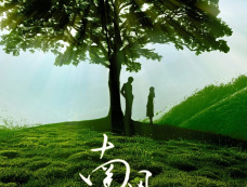 短剧《南风知故渊》剧情介绍