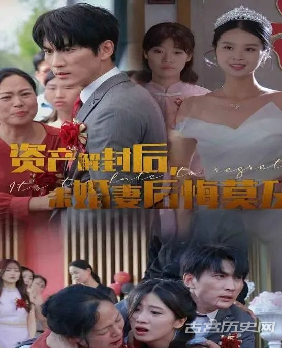 《资产解封后未婚妻后悔莫及》剧情介绍
