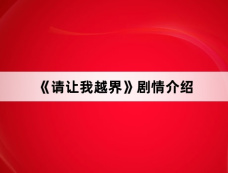 《请让我越界》剧情介绍