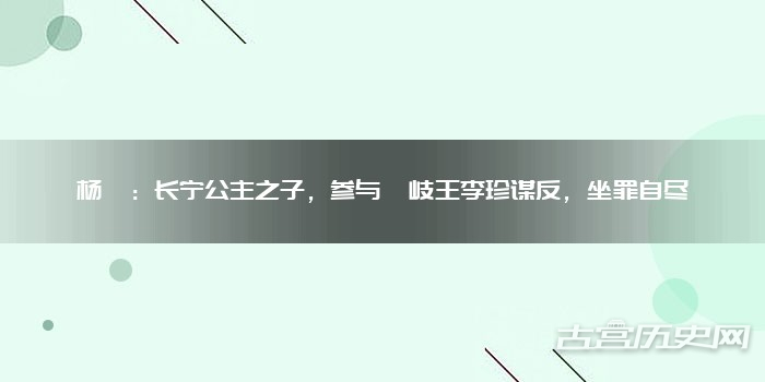 杨洄：长宁公主之子，参与嗣岐王李珍谋反，坐罪自尽
