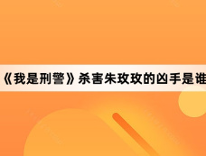 《我是刑警》杀害朱玫玫的凶手是谁