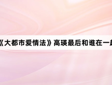 ‌韩剧《大都市爱情法》高瑛最后和谁在一起了？