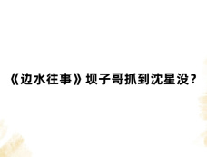 《边水往事》坝子哥抓到沈星没？
