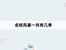 名校风暴一共有几季