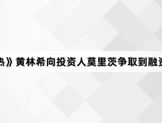 《赤热》黄林希向投资人莫里茨争取到融资了吗