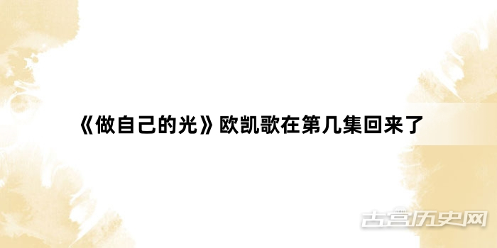 《做自己的光》欧凯歌在第几集回来了