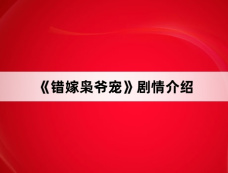 《错嫁枭爷宠》剧情介绍