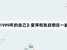 《致1999年的自己》爱萍和张启明在一起了吗