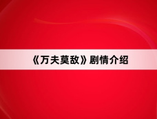 《万夫莫敌》剧情介绍