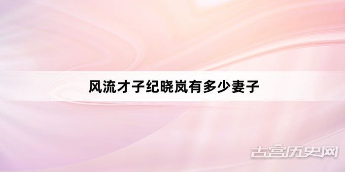 风流才子纪晓岚有多少妻子