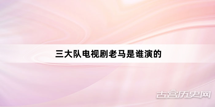 三大队电视剧老马是谁演的