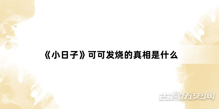 《小日子》可可发烧的真相是什么
