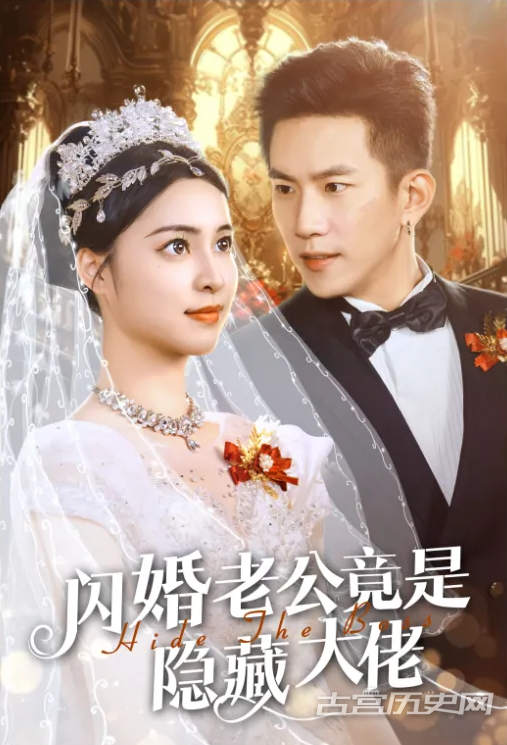 《闪婚老公竟是隐藏大佬》剧情介绍
