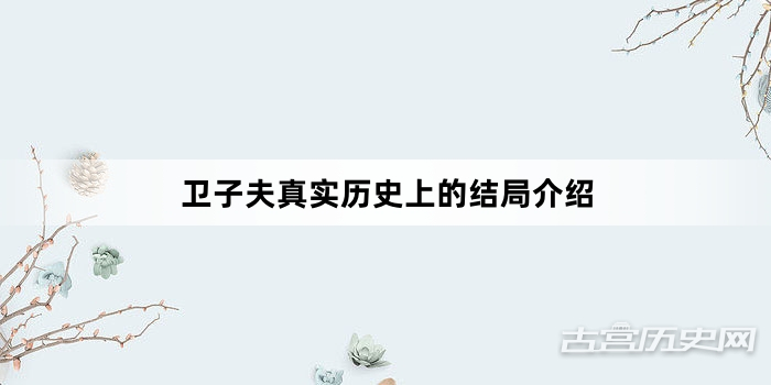 卫子夫真实历史上的结局介绍