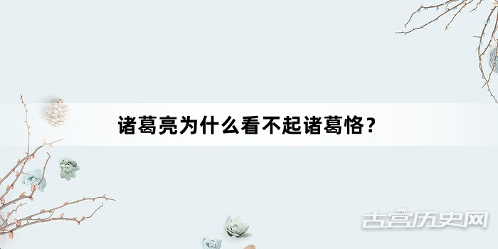 诸葛亮为什么看不起诸葛恪？