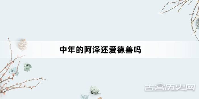 中年的阿泽还爱德善吗