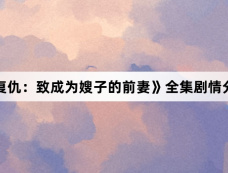 《财阀复仇:致成为嫂子的前妻》全集剧情分集介绍