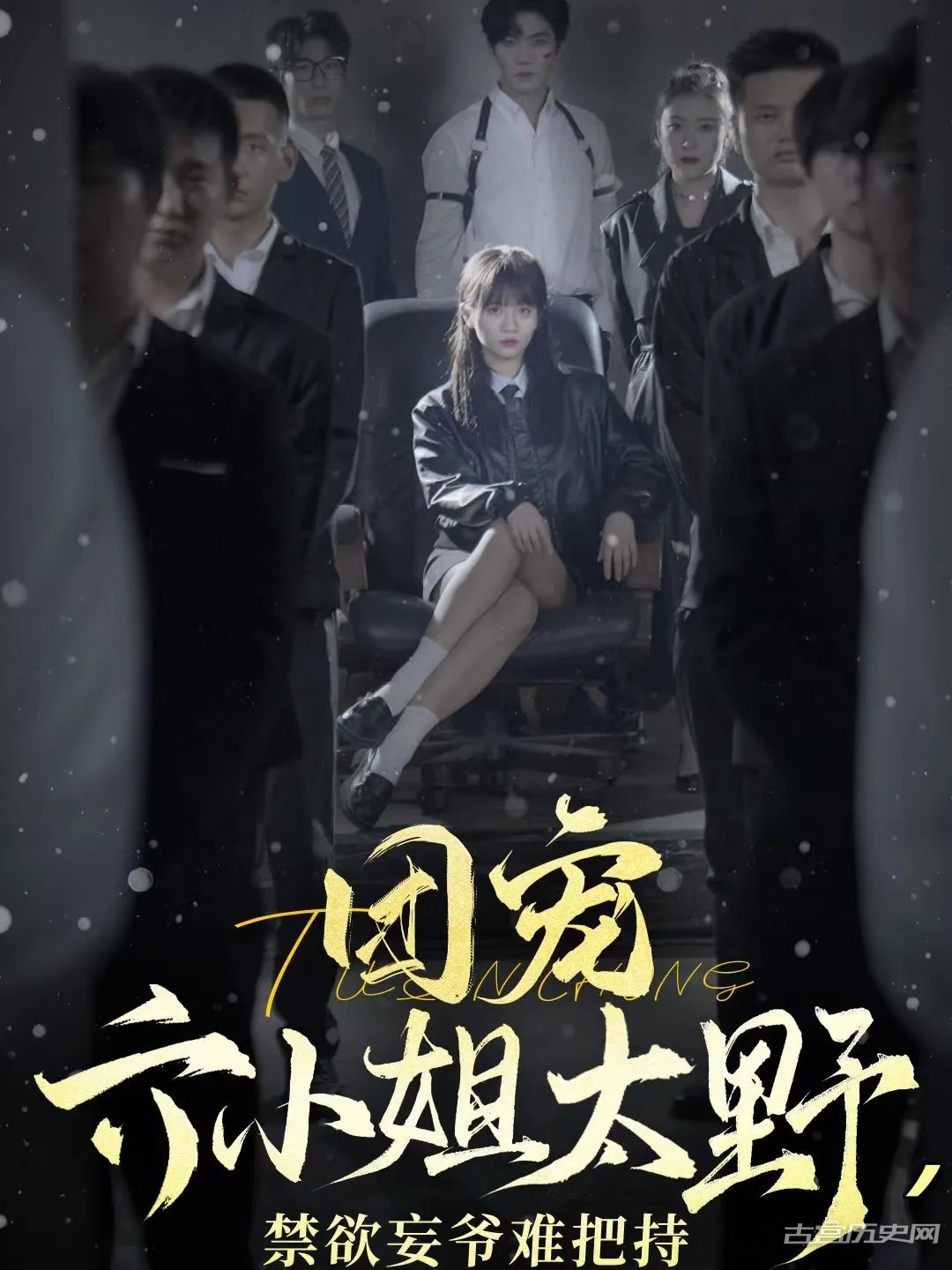 《团宠六小姐太野禁欲妄爷难把持》剧情介绍