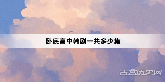 卧底高中韩剧一共多少集