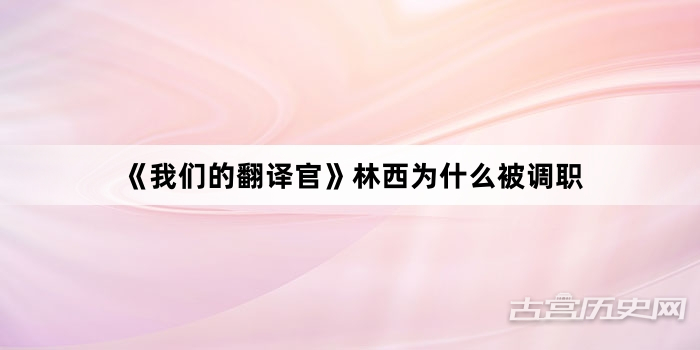 《我们的翻译官》林西为什么被调职