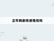 正年韩剧有感情戏吗