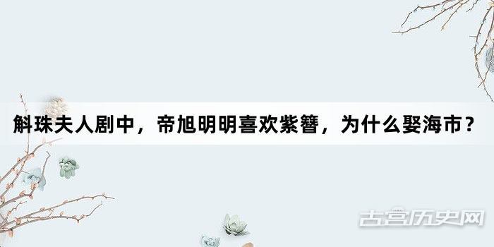 斛珠夫人剧中，帝旭明明喜欢紫簪，为什么娶海市？