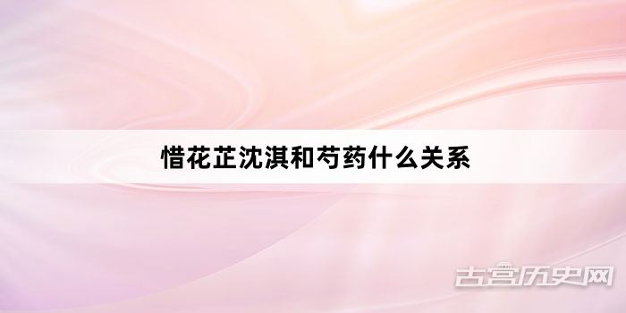 惜花芷沈淇和芍药什么关系