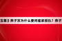 《珠帘玉幕》燕子京为什么要问崔家报仇？燕子京和崔家的关系？