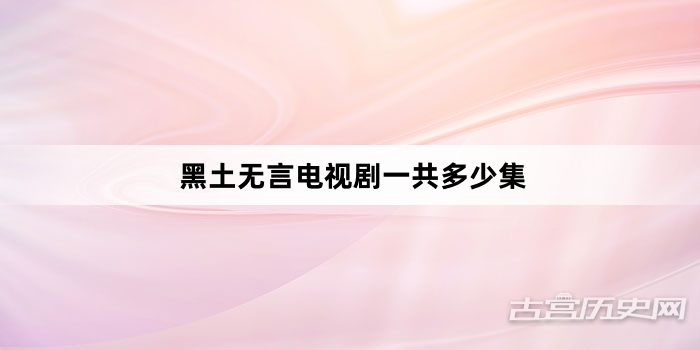 黑土无言电视剧一共多少集