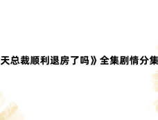 《今天总裁顺利退房了吗》全集剧情分集介绍