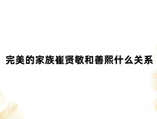 完美的家族崔贤敏和善熙什么关系