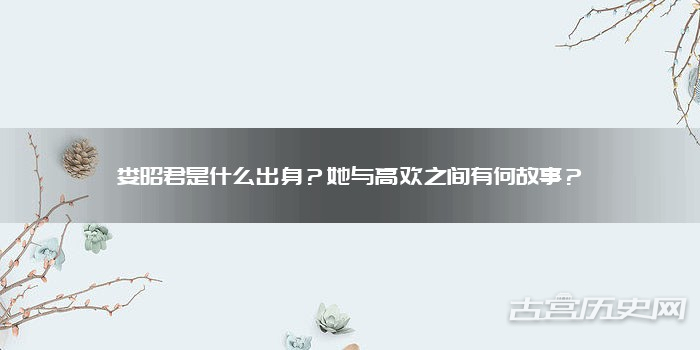 娄昭君是什么出身？她与高欢之间有何故事？